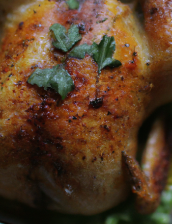 baked chicken recipe